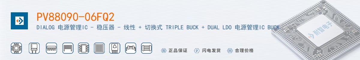 PV88090-06FQ2������