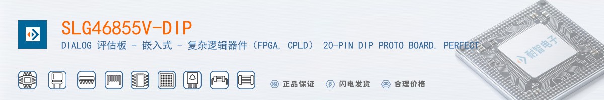 SLG46855V-DIP������