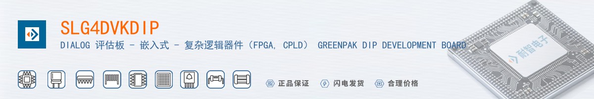 SLG4DVKDIP������