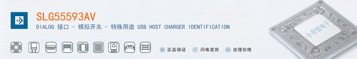 SLG55593AV������