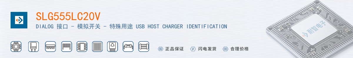SLG555LC20V������