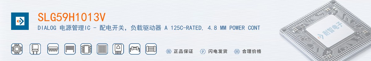 SLG59H1013V������