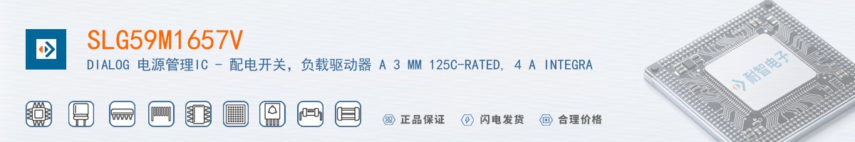 SLG59M1657V������