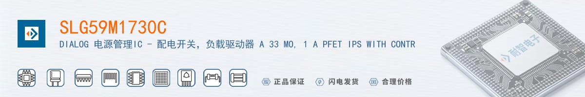 SLG59M1730C������